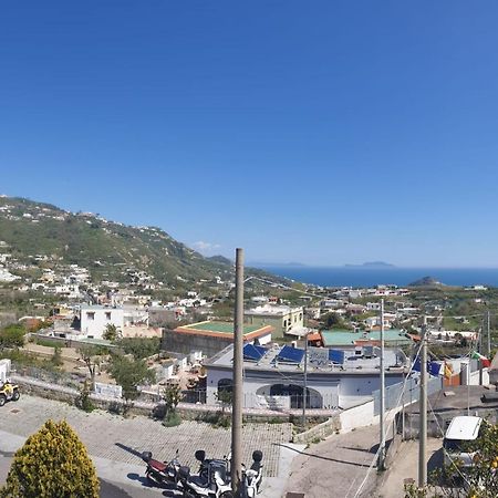 Hotel Mareluna Ischia Forio di Ischia Exteriér fotografie