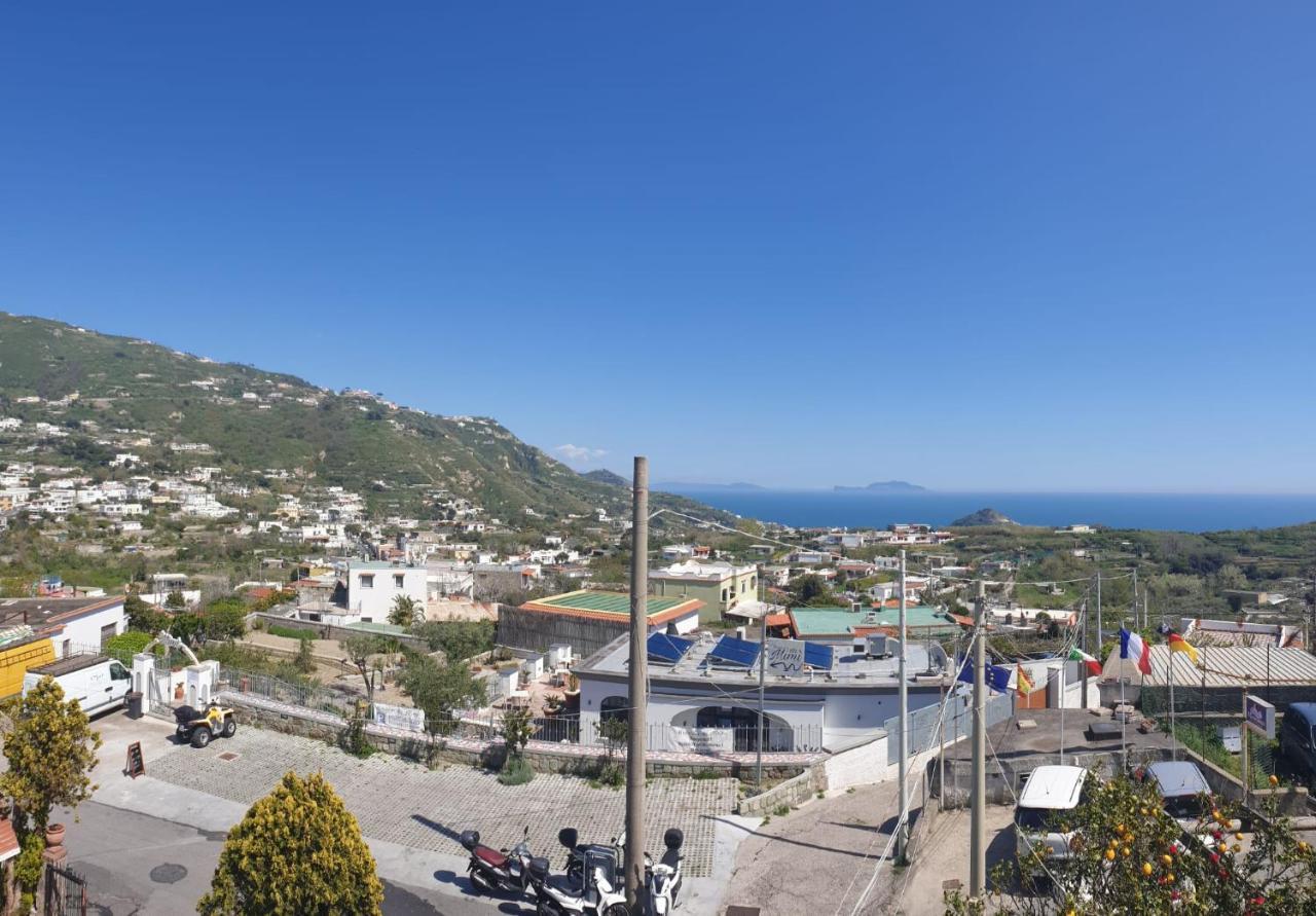 Hotel Mareluna Ischia Forio di Ischia Exteriér fotografie