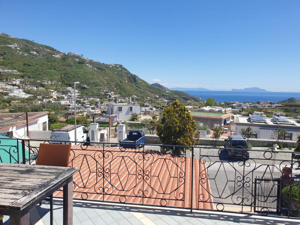 Hotel Mareluna Ischia Forio di Ischia Exteriér fotografie